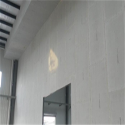丹江口宁波ALC板|EPS加气板隔墙与混凝土整浇联接的实验研讨